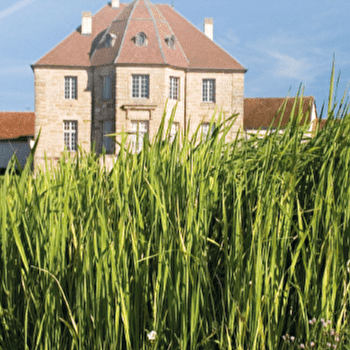 Visite Pusy-et-Epenoux - PUSY-ET-EPENOUX