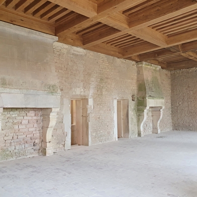 Château de Maulnes