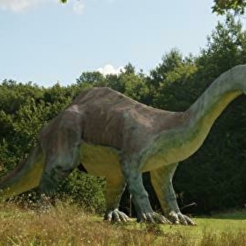 Cardo Land - Parc Préhistorique  - CHAMOUX