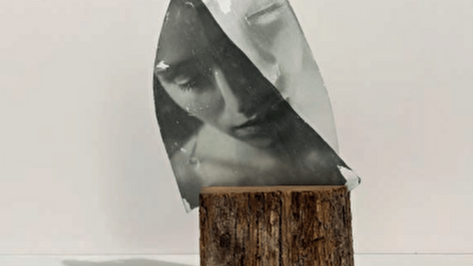 Photographies révélées