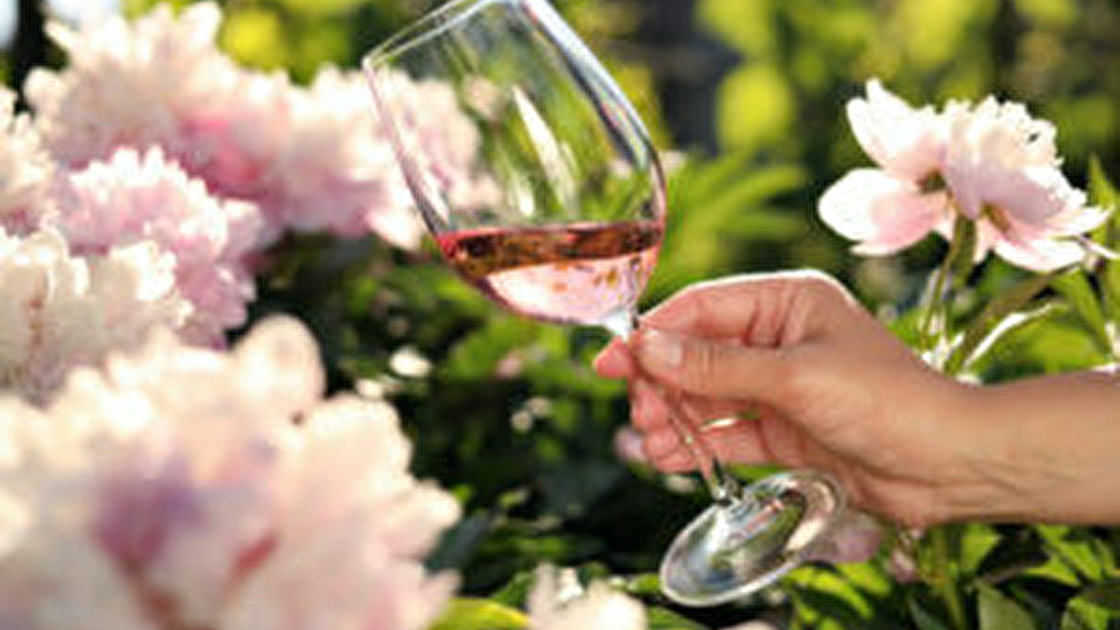 Beaune : Atelier vins et fleur