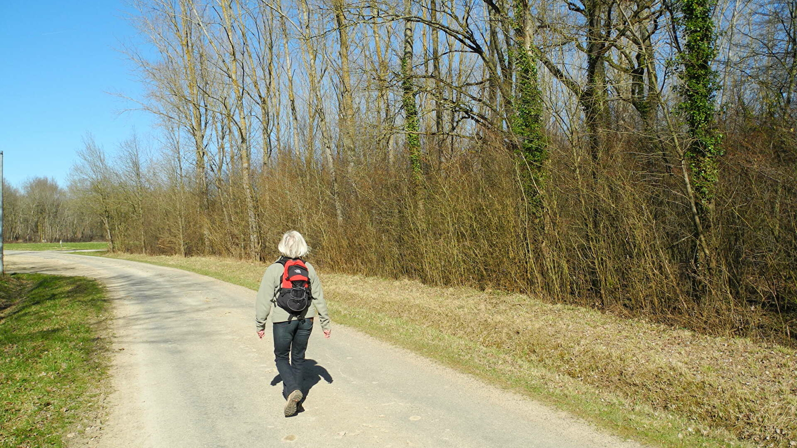 Sentier des bois communaux