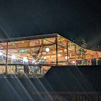 Festivallon - Space Alligators - COUTARNOUX