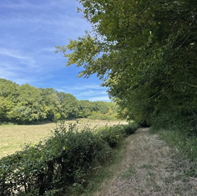 Aux Grands Garreaux 