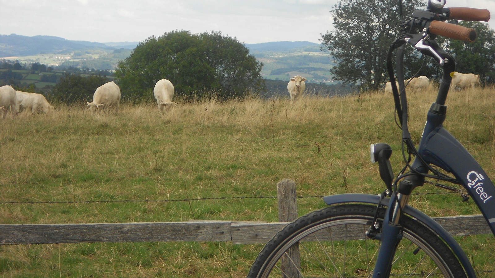 Location de vélos au 'Gîte Belle Vue'