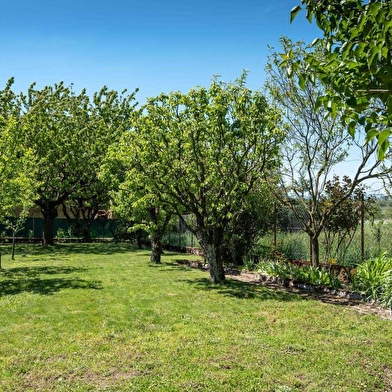 Les Acacias