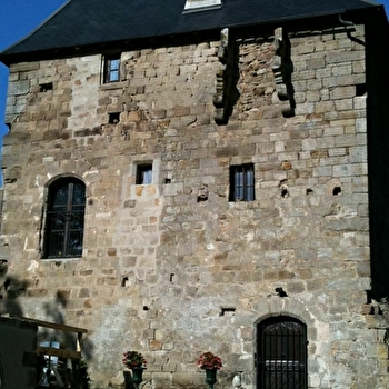 Château de Savigny-le-Vieux - CURGY