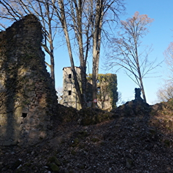 Château de Vautheau - LA GRANDE-VERRIERE