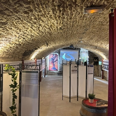 Exposition 'Les Forêts en Souffrance' & Dégustation de vins 