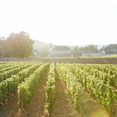 Château de Pommard