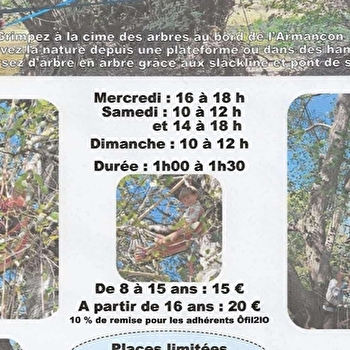 Grimpe d'arbre - TANLAY
