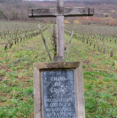 Vignes de Croux