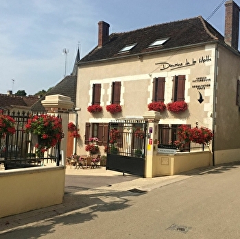 Motte - BEINE