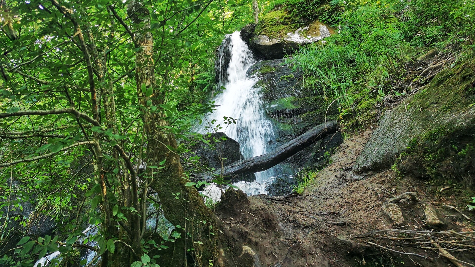 Cascade de Brisecou