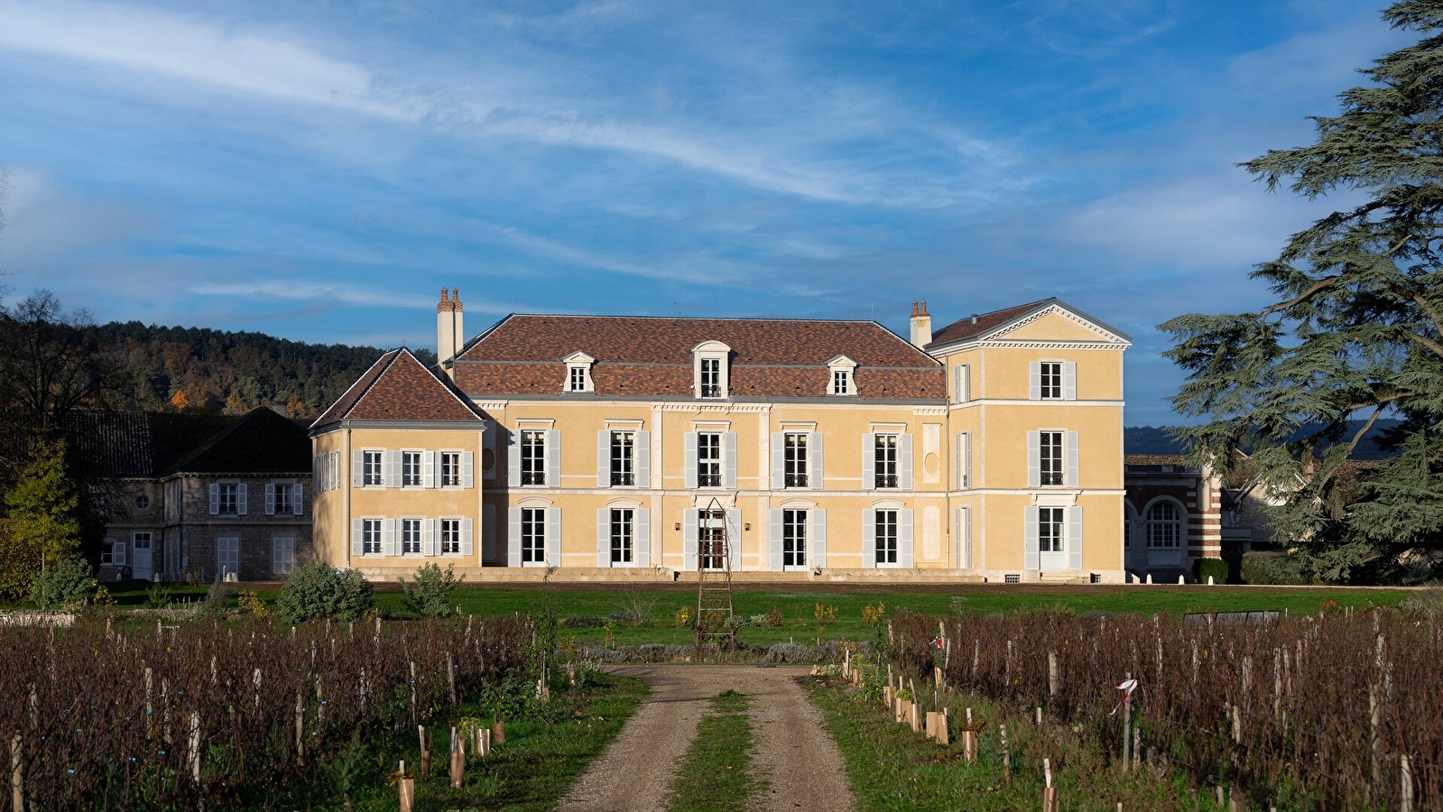 Les saveurs du Château de Meursault