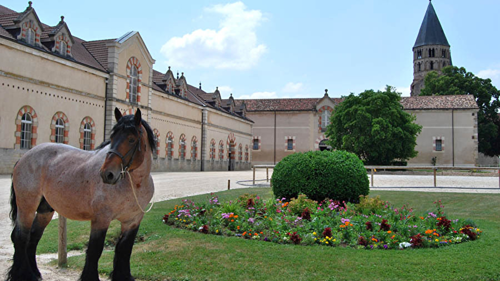 Haras National de Cluny