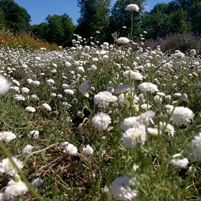 Le Soin Jardiné