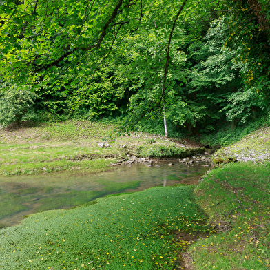 La source du suran