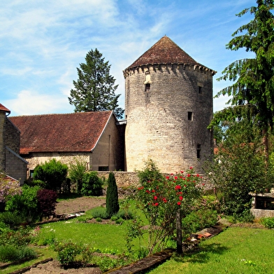 Office de Tourisme Mirebellois et Fontenois - BIT de Bèze