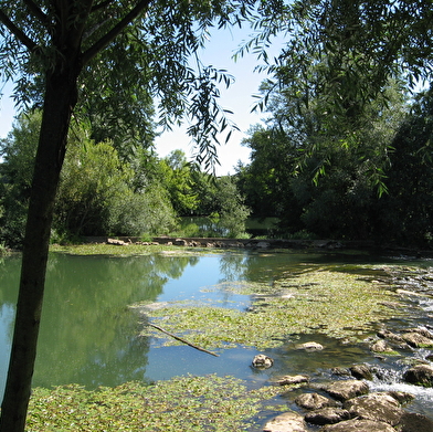 Bois de Brussey
