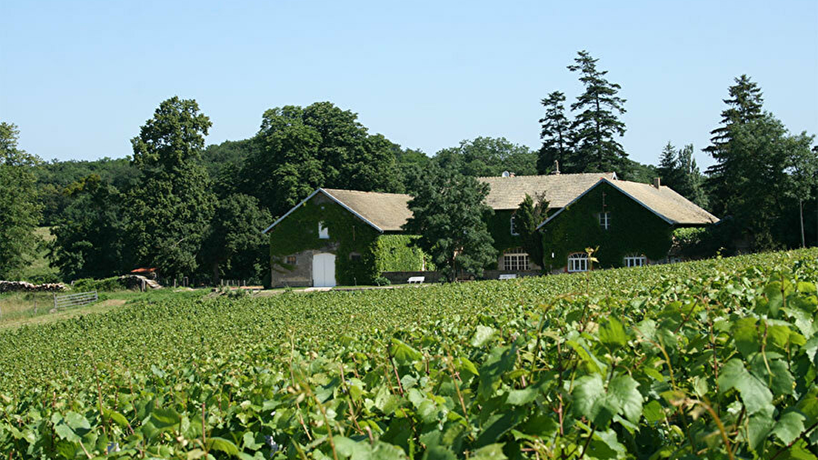 Domaine de l'Echelette