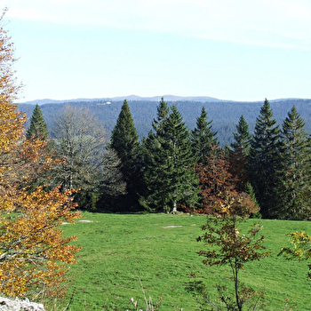 Pré d'Haut - CHAPELLE-DES-BOIS