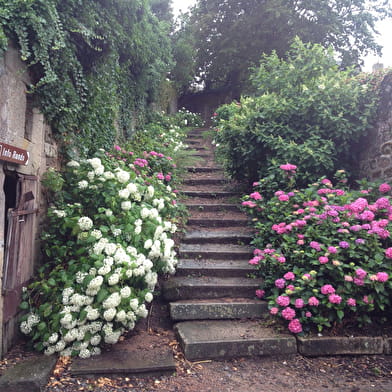 Sentier botanique Jeanne BARET et Philibert COMMERSON