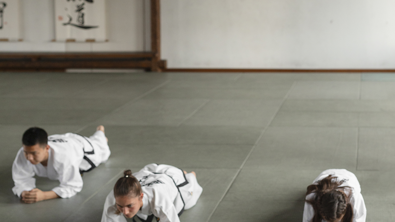 Stage multi-activités d'été Judo-gym