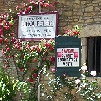 Domaine de la Choupette - Gutrin et Fils - SANTENAY