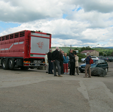 Visite Guidée Couplée du Musée de l'Elevage et du Charolais et du Marché au Cadran