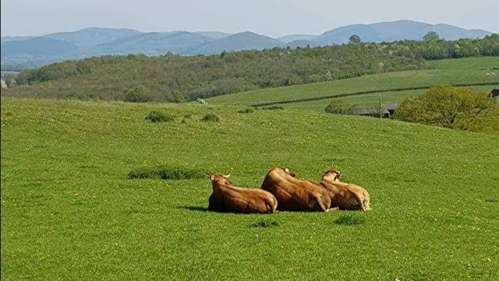 La Ferme de Chauvetière