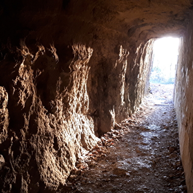 Sentier 'entre ruines et vignes' : de Montagnieu à Briord