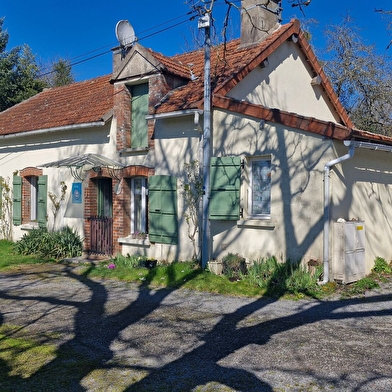 Le pré fleuri