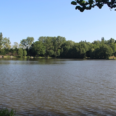 Etang de la Verne