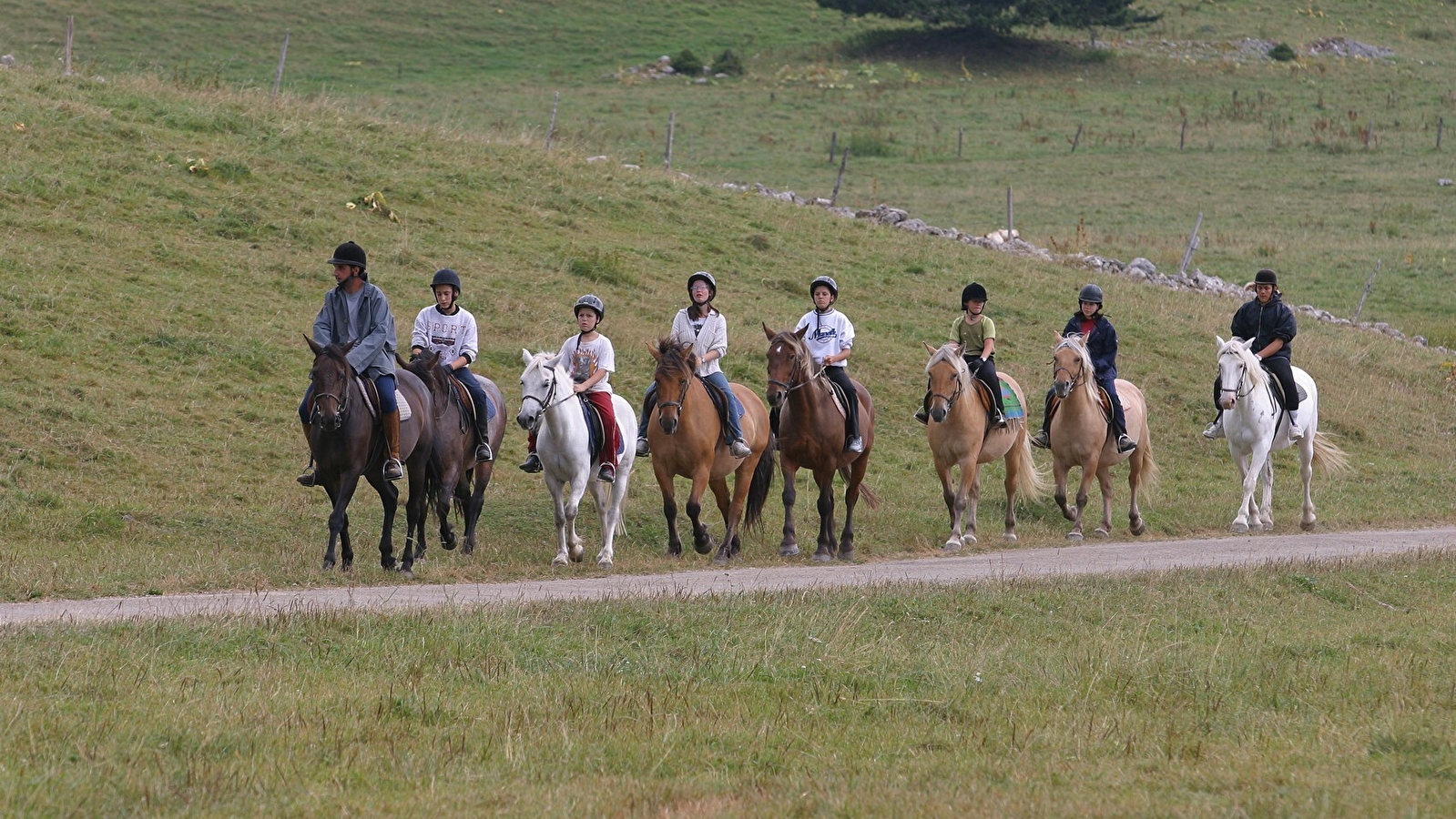 Sport et environnement