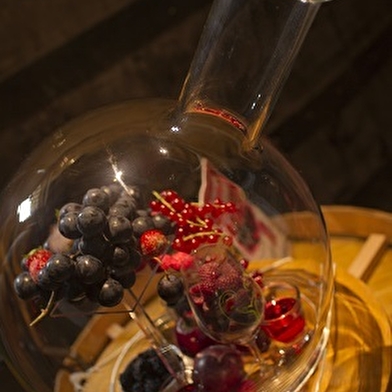 Livres en Vignes