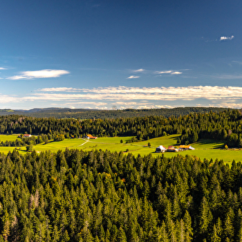 Rochers du Cerf - LES GRAS