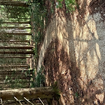 Coupe de Bourgogne Franche-Comté - VTT - LES FOURGS