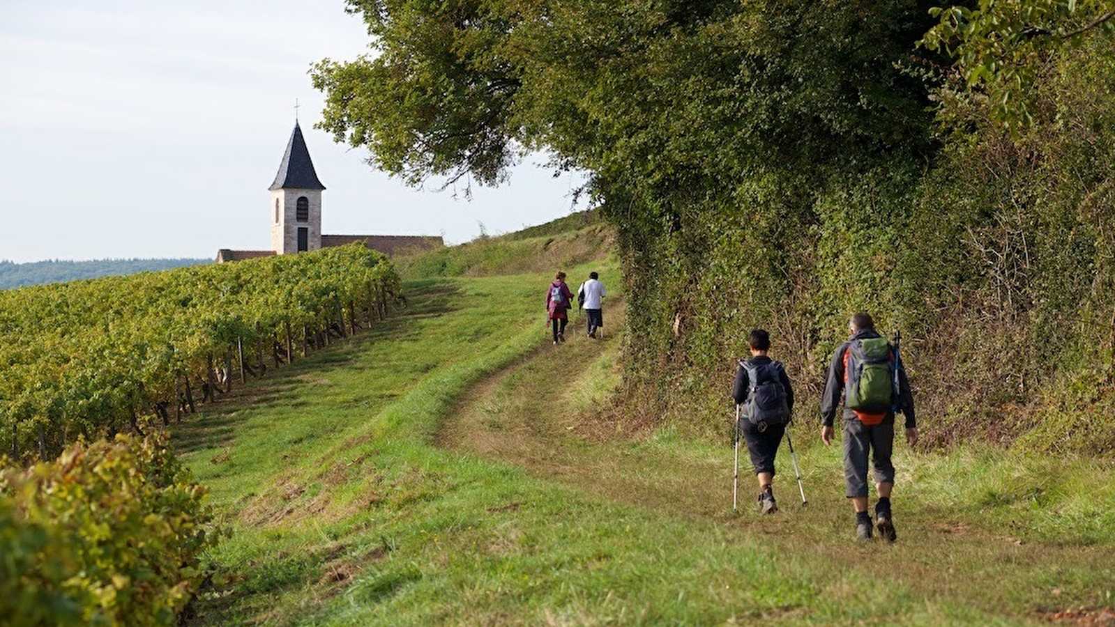 Le Mâconnais Panoramique
