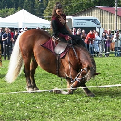 Concours National du Cheval de Trait comtois