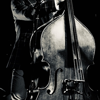 Jazz autour du Lion - le Malcolm Potter Quartet - BELFORT