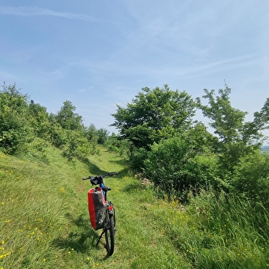 Circuit VTTAE n°10 (rouge) Coligny - Plateau de Vergongeat