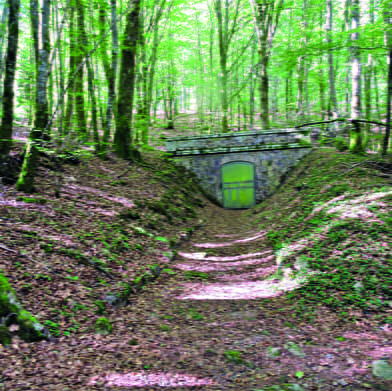 Sur les hauteurs du Rançon