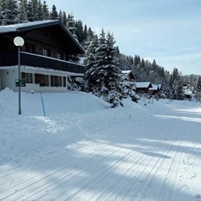 Appartement dans chalet - P401COU00