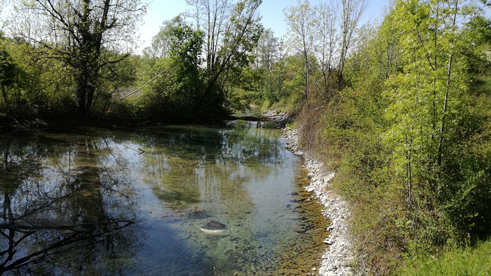 Sentier des lônes et îles du Haut-Rhône