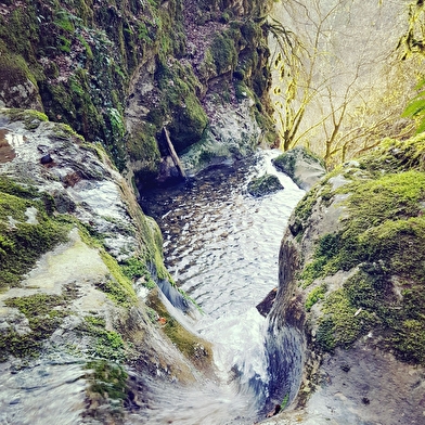 Balade nature : le sentier du Buizin
