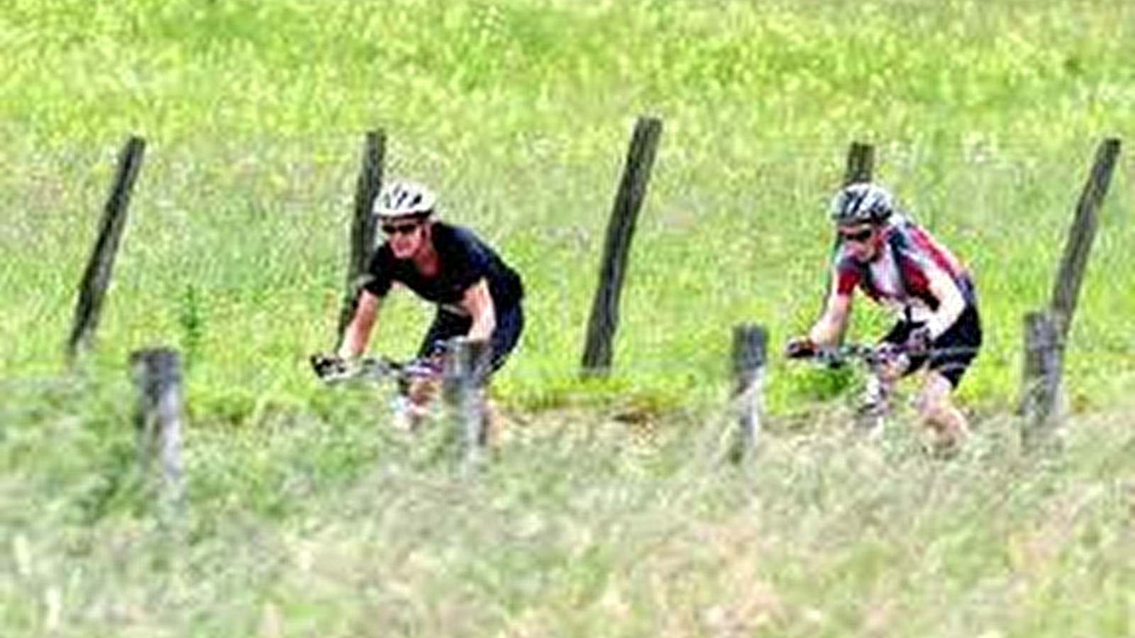 VTT dans les Monts de Gy : Circuit 56 'Le bois de Natoy'