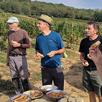 Parcours en Chardonnay avec le Domaine de la Cozanne - CORMOT-VAUCHIGNON