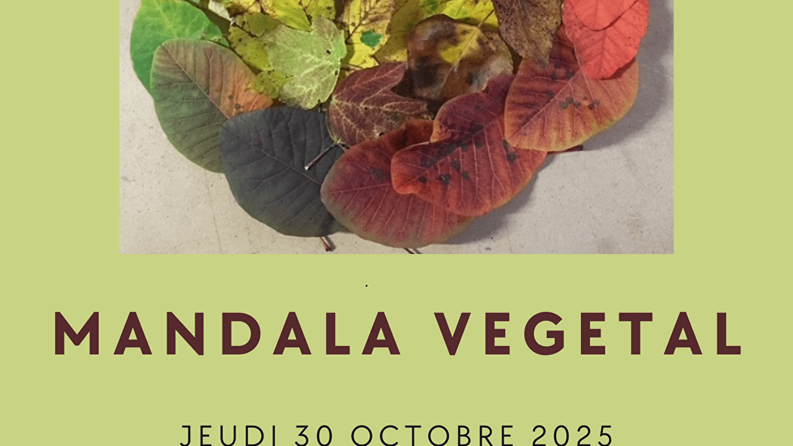 Atelier enfant - Mandala végétal