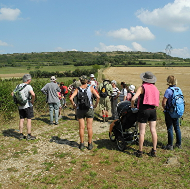 Trésors de nos villages - Le culte de Saint-Emiland